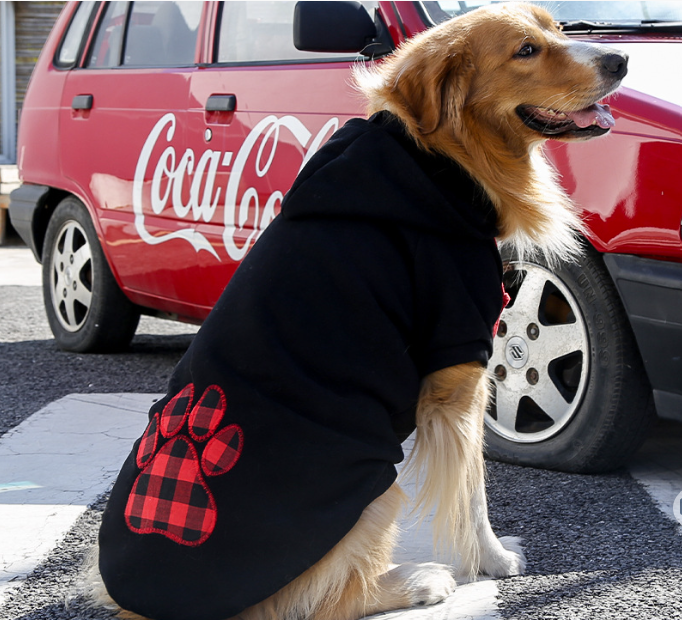 Seasonal Plaid Outfits for Dogs