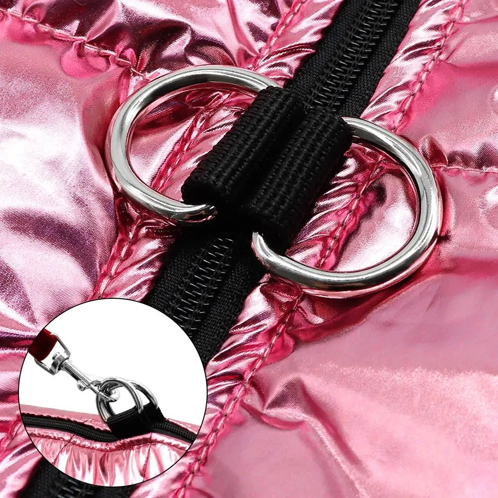 Chic Small Dog Apparel