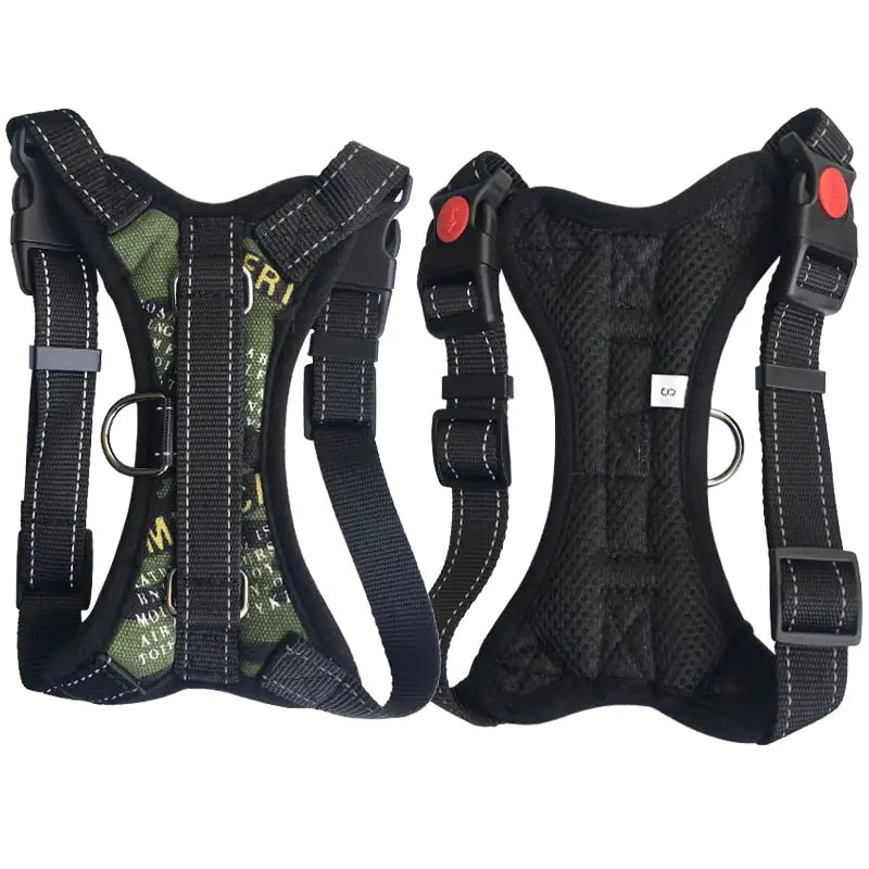 Arnés para pasear mascotas EasyFit
