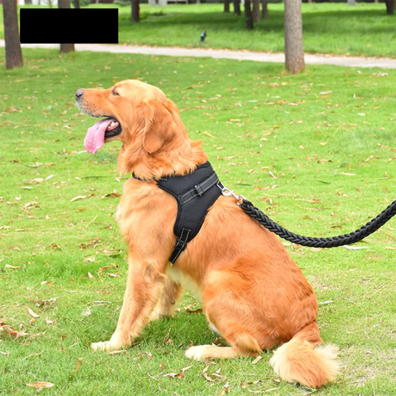 Arnés para pasear mascotas EasyFit