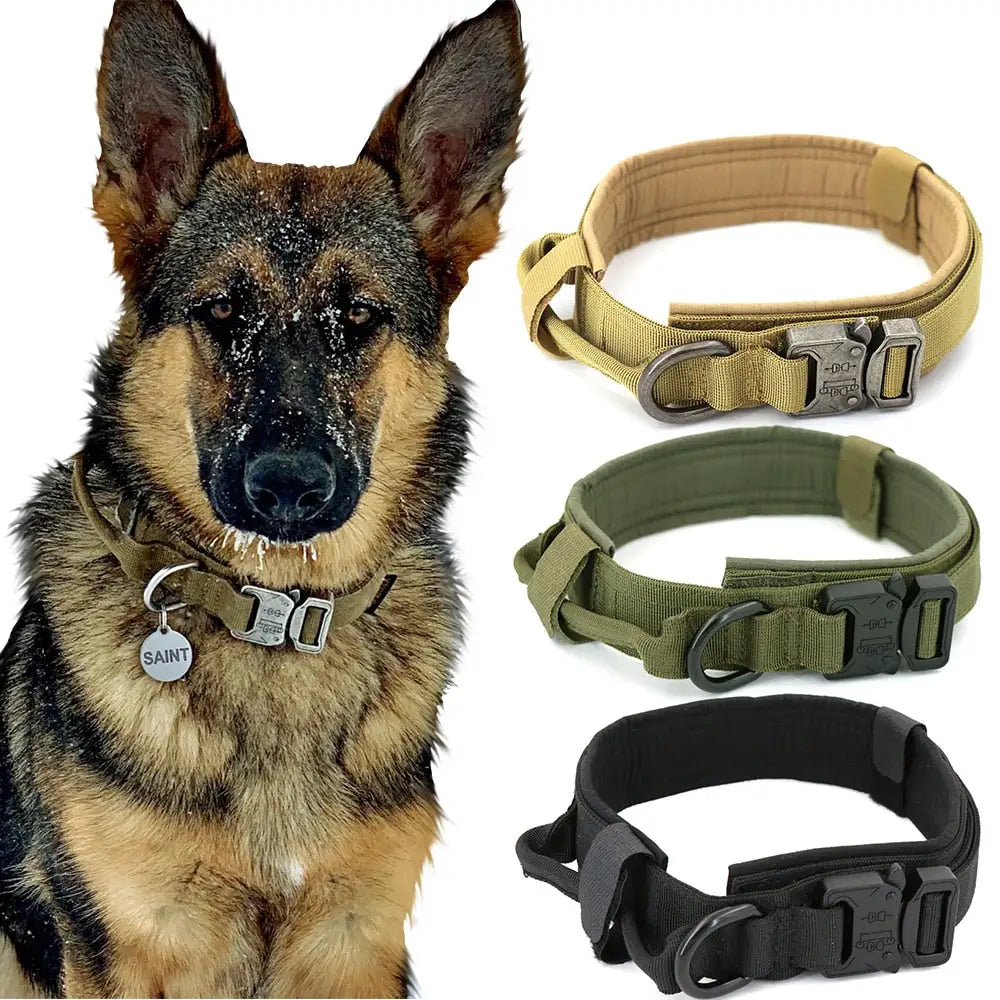 Secure Pup Collar
