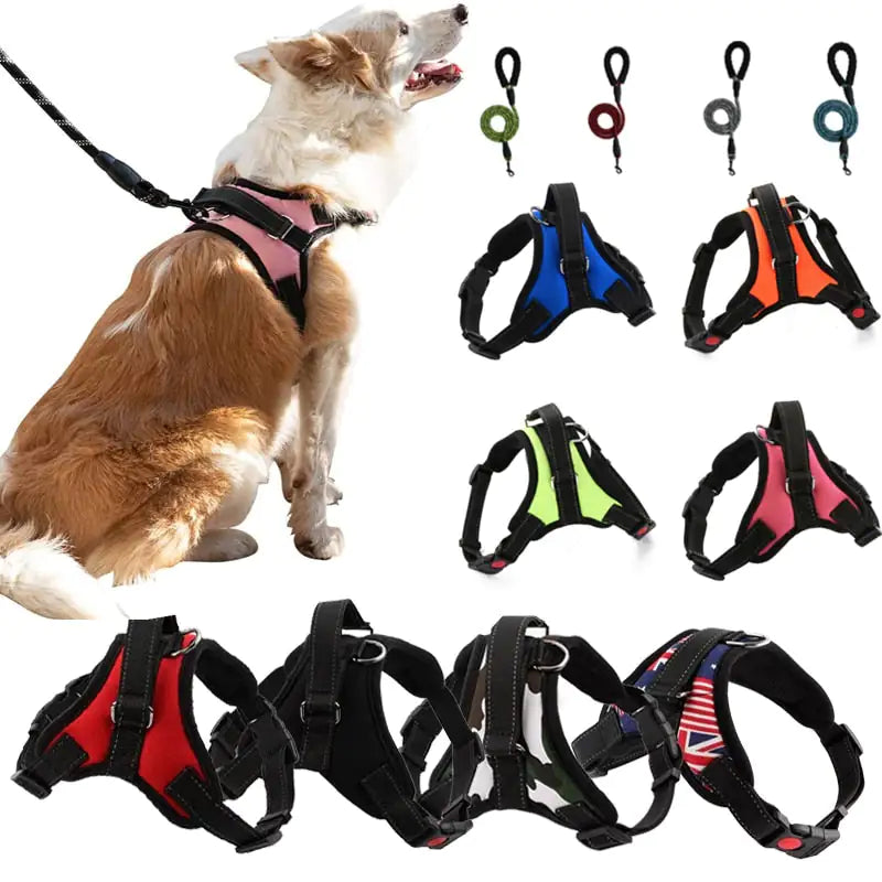 Arnés para pasear mascotas EasyFit