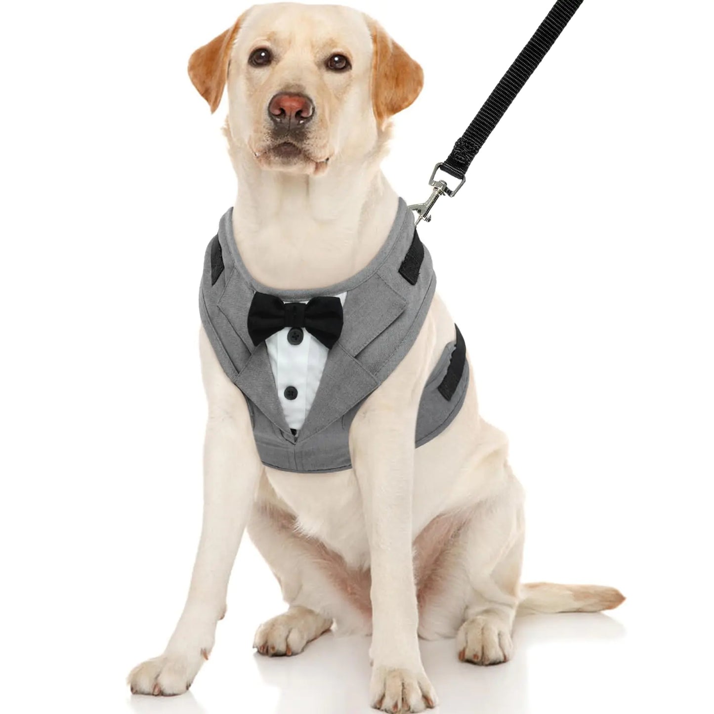 Chic Canine Tuxedo Harness