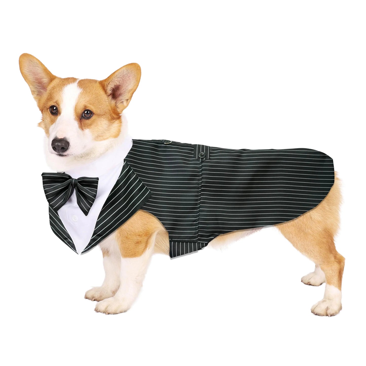 FUNPARTY Dog Tuxedo