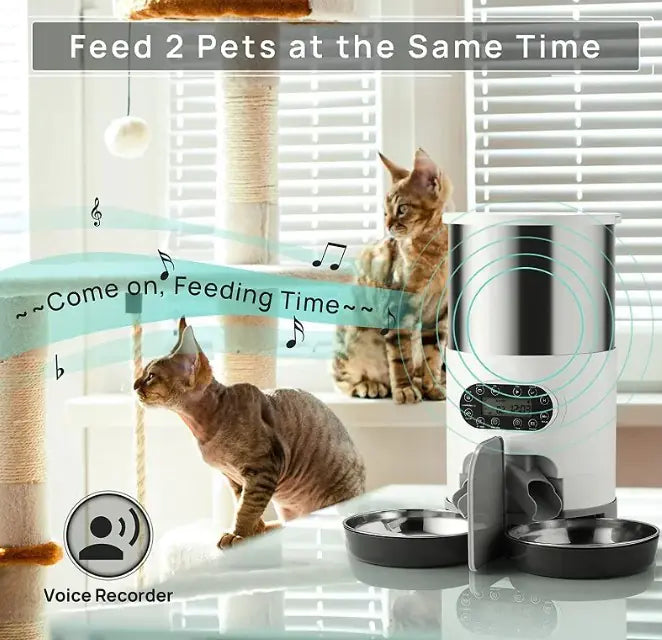 AutoServe Pet Feeder