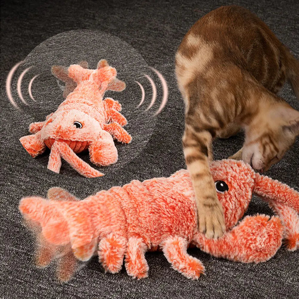 Camarón saltarín para gatos
