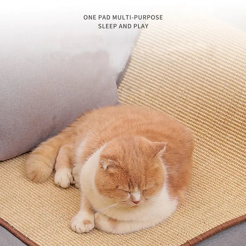 Sofa Shield Cat Mat
