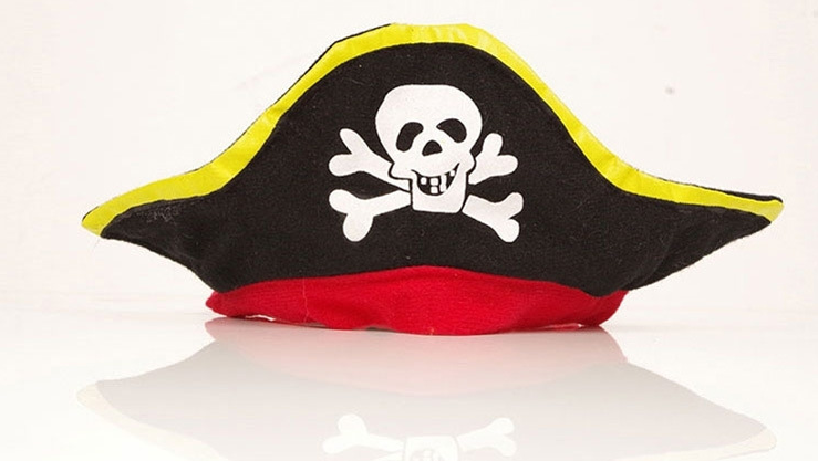 Swashbuckler Pooch Outfit