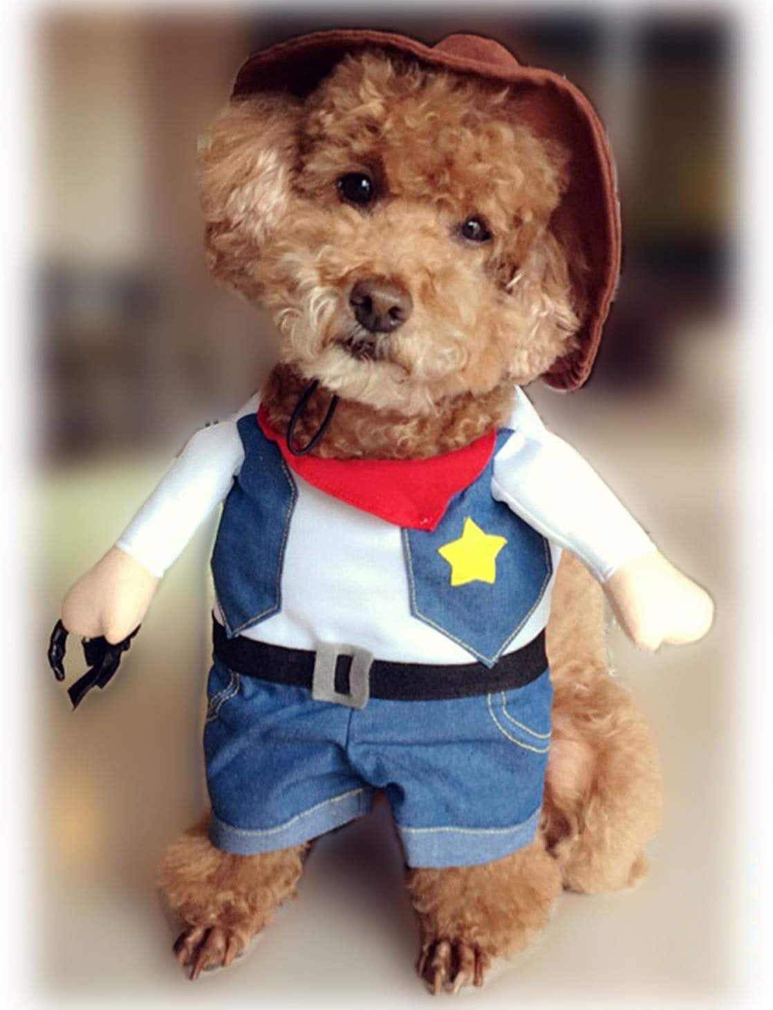 Pet Cowboy Denim Gear