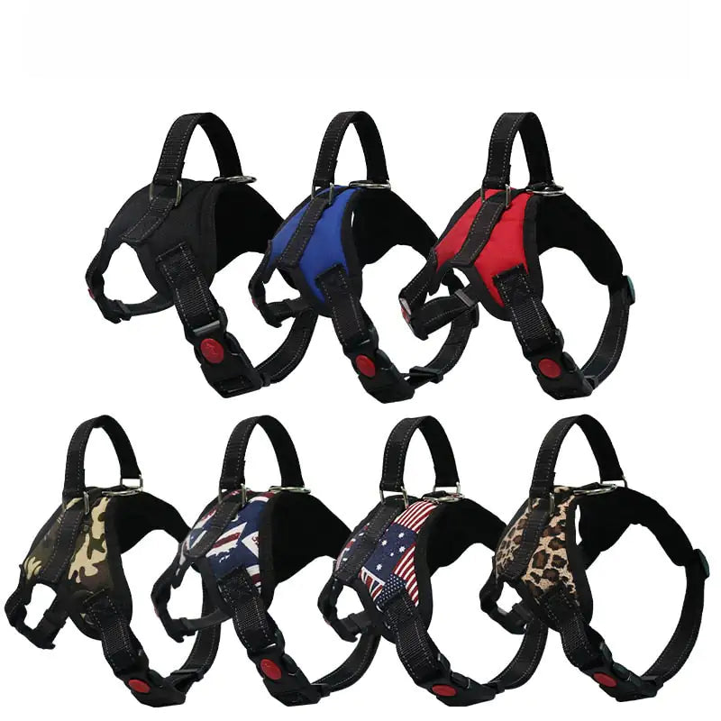 Arnés para pasear mascotas EasyFit