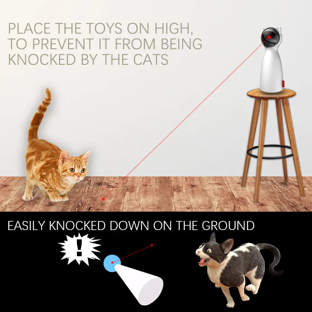Interactive Pet Play Toys