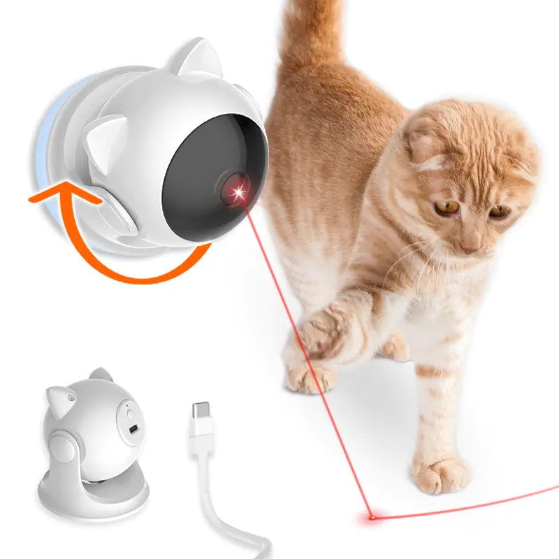 Interactive Pet Play Toys