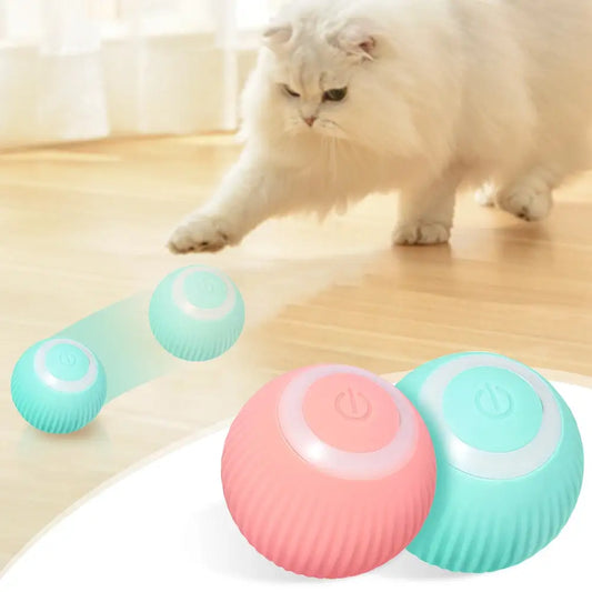 Purrfect Play Ball
