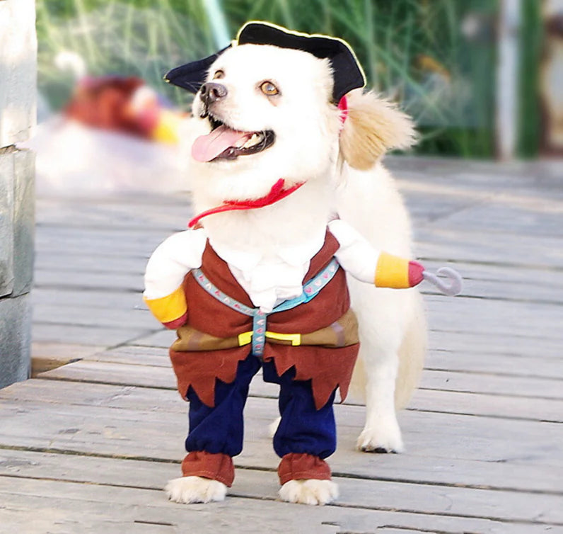 Swashbuckler Pooch Outfit