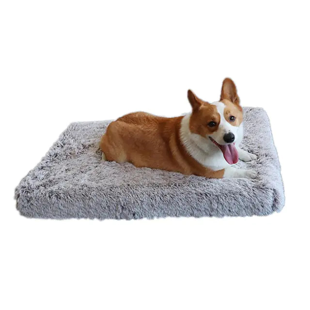 Comfy Washable Pet Bed