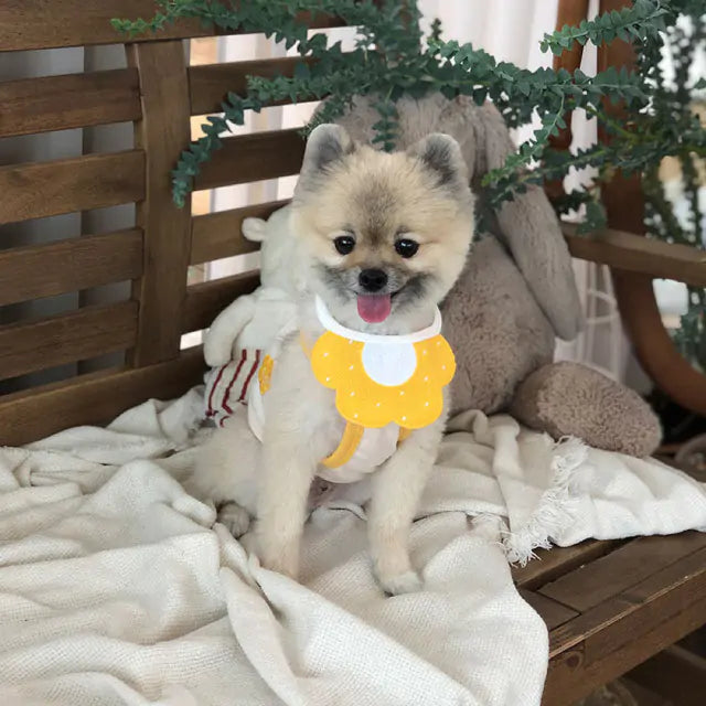 Chic Pet Knit Scarves