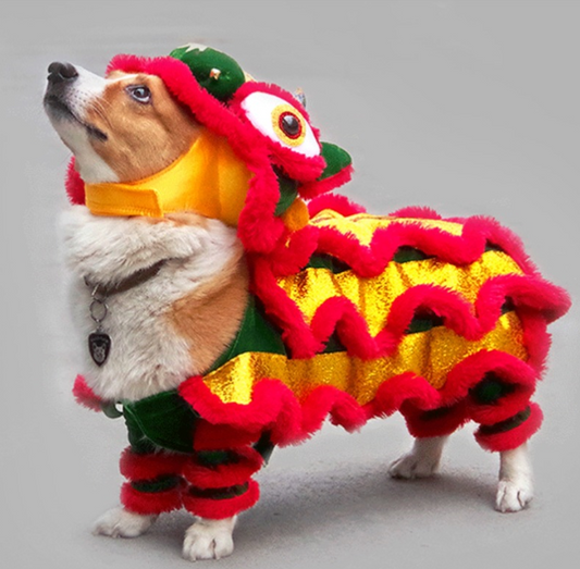 Roaring Fun Pet Costume