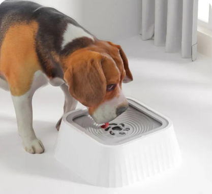 HydraFloat Pet Bowl