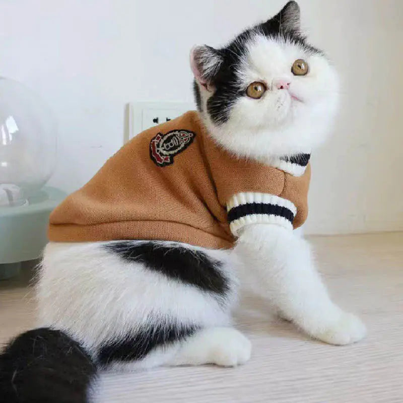 Academic Knit Pet Vest