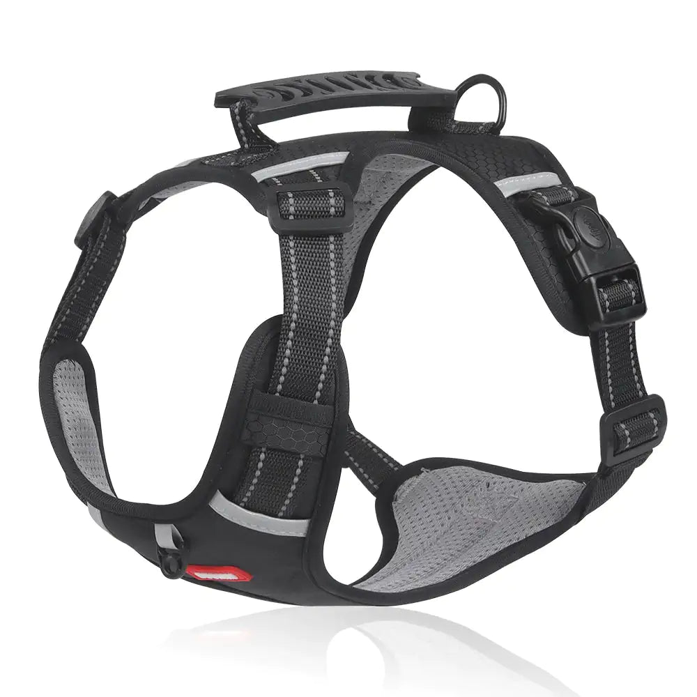 GlowSafe Comfort Dog Harness