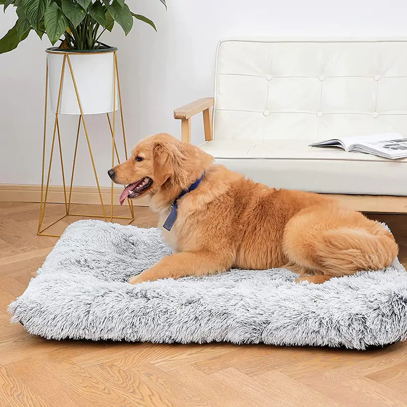 Comfy Washable Pet Bed