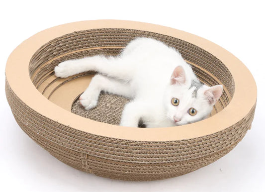 Griffoir MeowBowl Deluxe