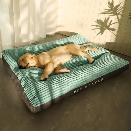 Easy-Clean Stylish Pet Beds