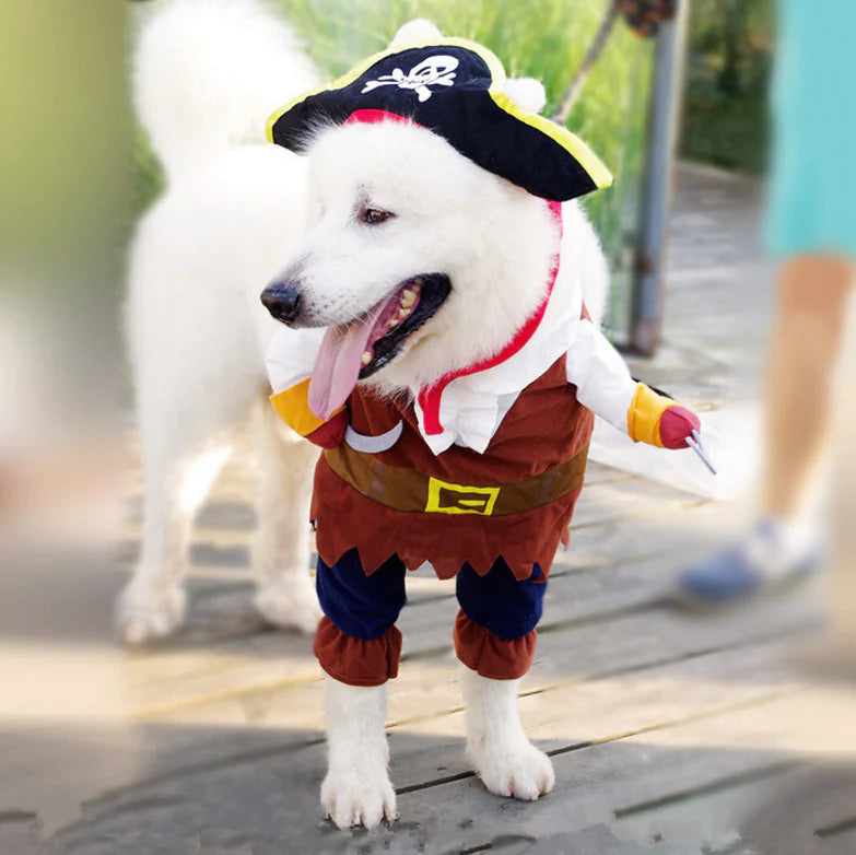 Swashbuckler Pooch Outfit