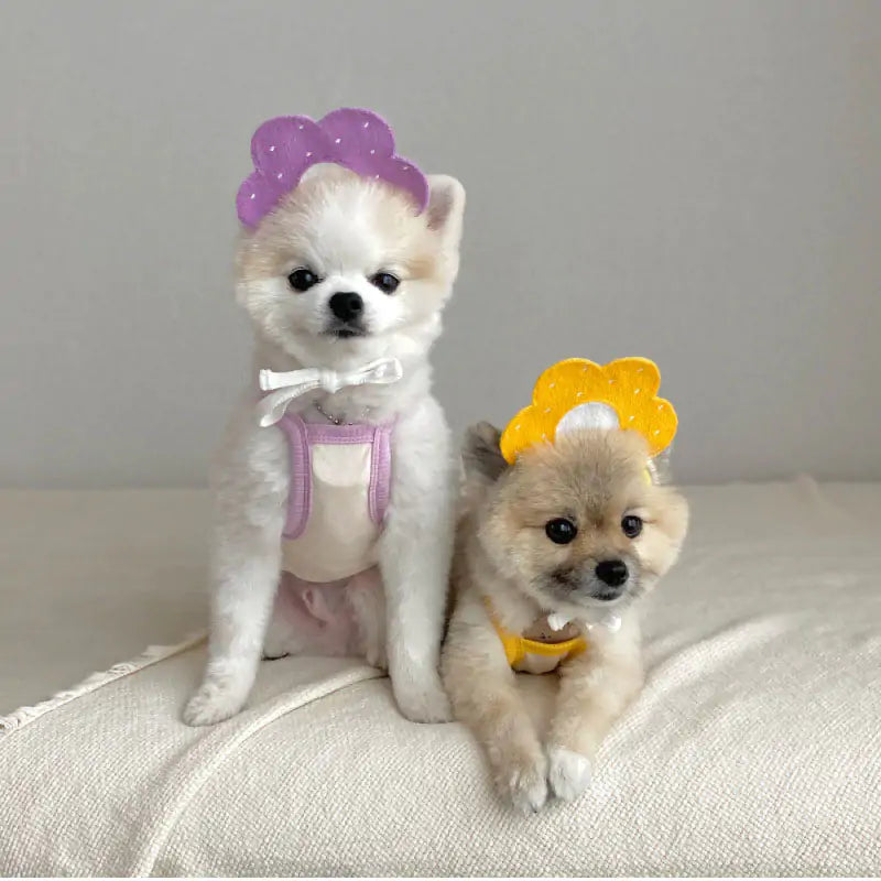 Chic Pet Knit Scarves