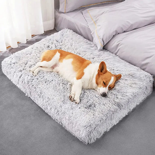 Lit confortable et lavable pour animaux de compagnie