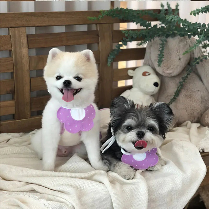 Chic Pet Knit Scarves