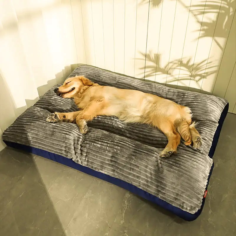 Easy-Clean Stylish Pet Beds