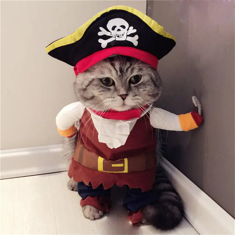 Pirate Teddy Pet Outfit