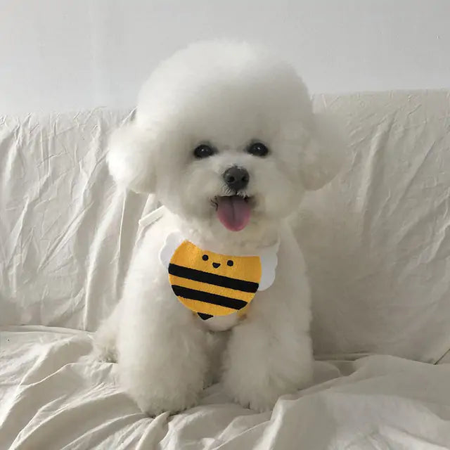 Chic Pet Knit Scarves