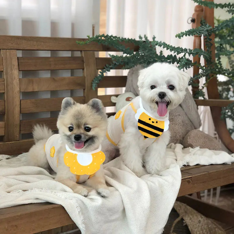 Chic Pet Knit Scarves