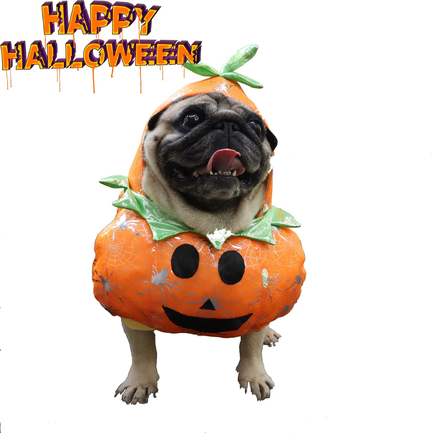 Pumpkin Pal Pet Costume