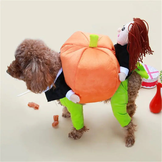 Pumpkin Pooch Party Costume