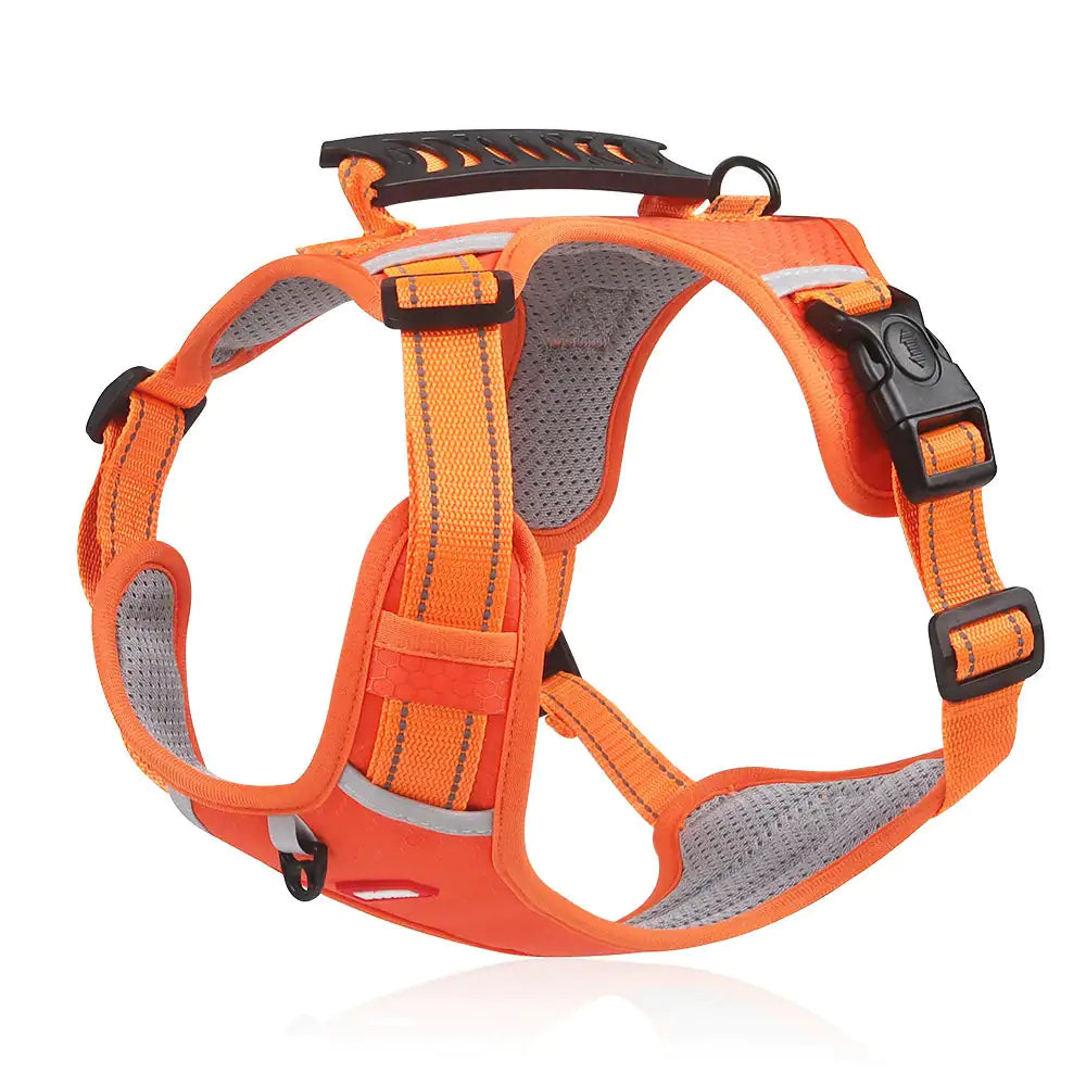 GlowSafe Comfort Dog Harness