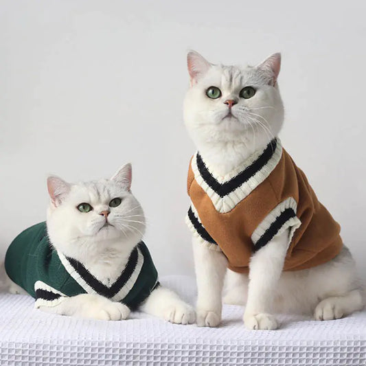 Gilet en tricot académique pour animaux de compagnie