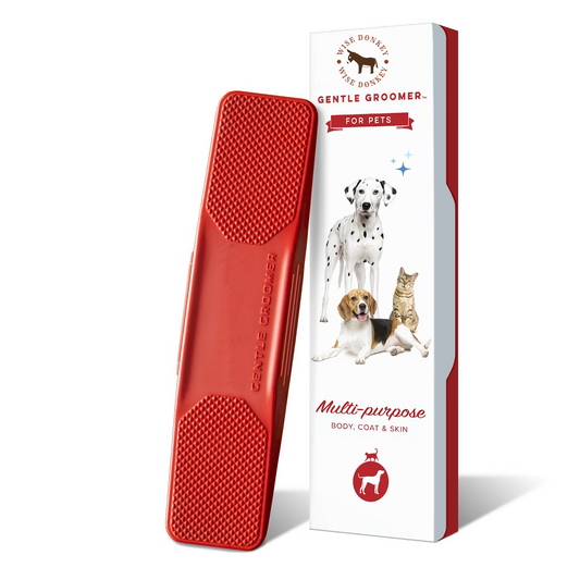 Soft Touch Pet Brush