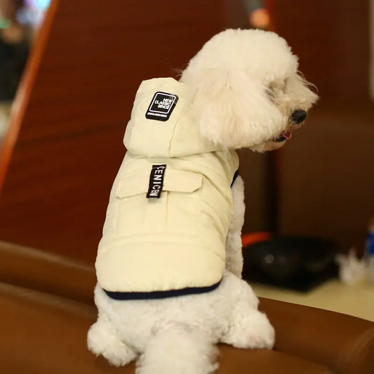 Gilet d'hiver chic pour chien