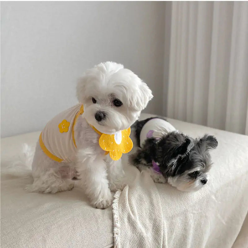 Chic Pet Knit Scarves