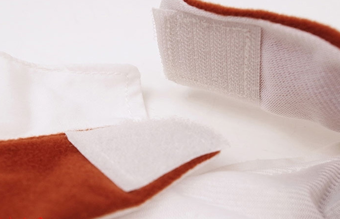 Swashbuckler Pooch Outfit