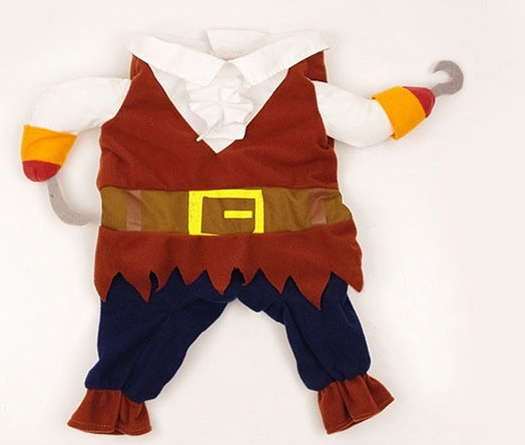 Swashbuckler Pooch Outfit
