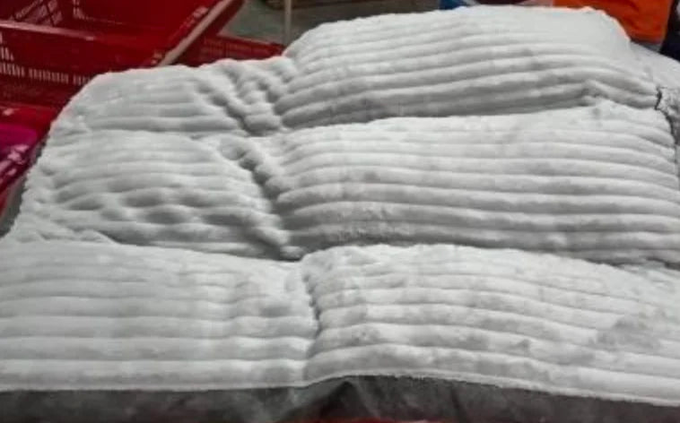 Easy-Clean Stylish Pet Beds