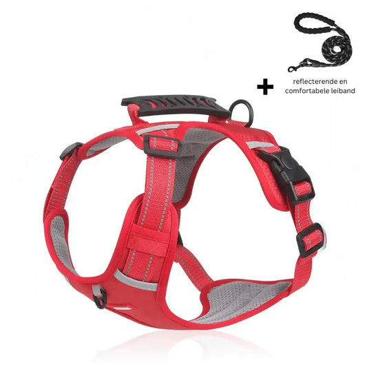 GlowSafe Comfort Dog Harness