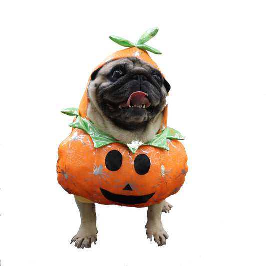 Pumpkin Pal Pet Costume