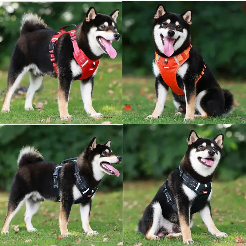 GlowSafe Comfort Dog Harness