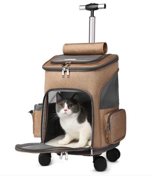 Sac à dos pliable et portable pour animaux de compagnie